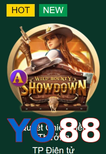 YO88